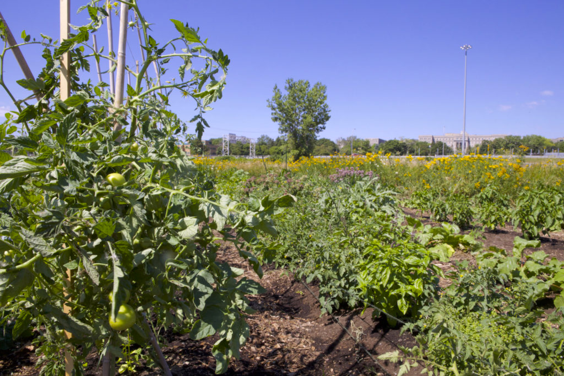 atelier-atoca-paysage-solidaire2