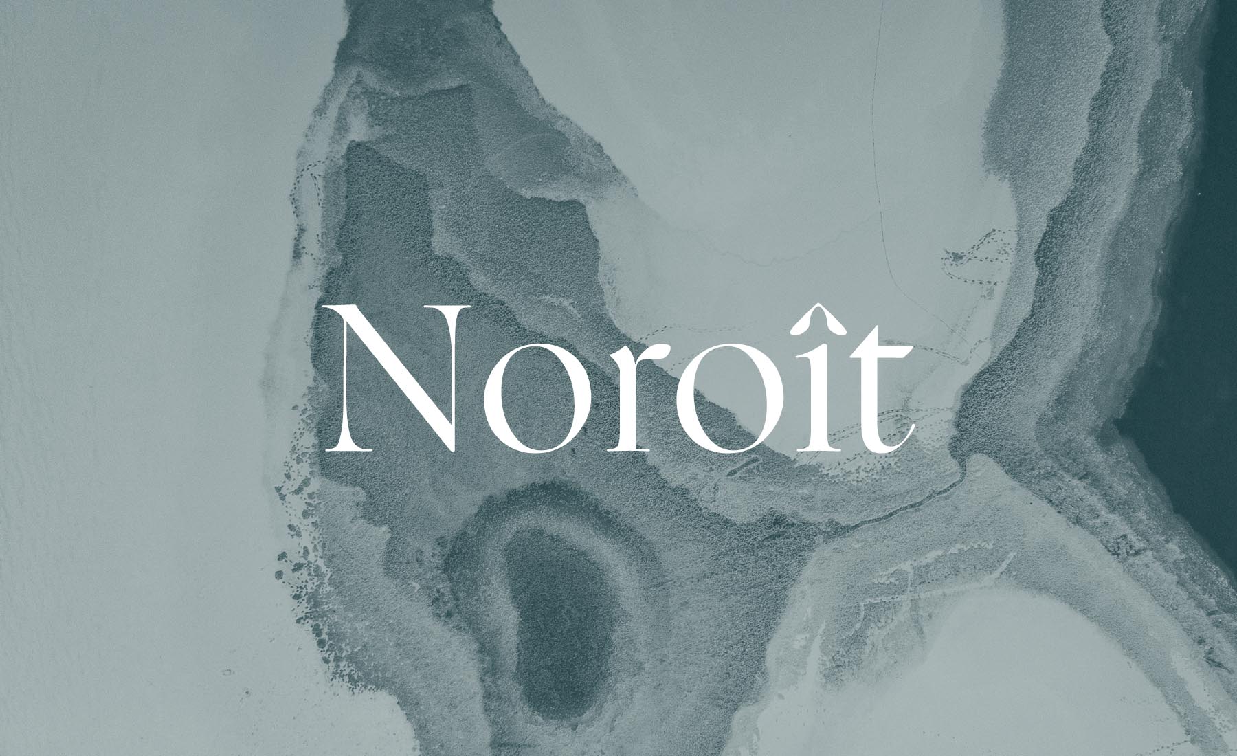 atoca_noroit8