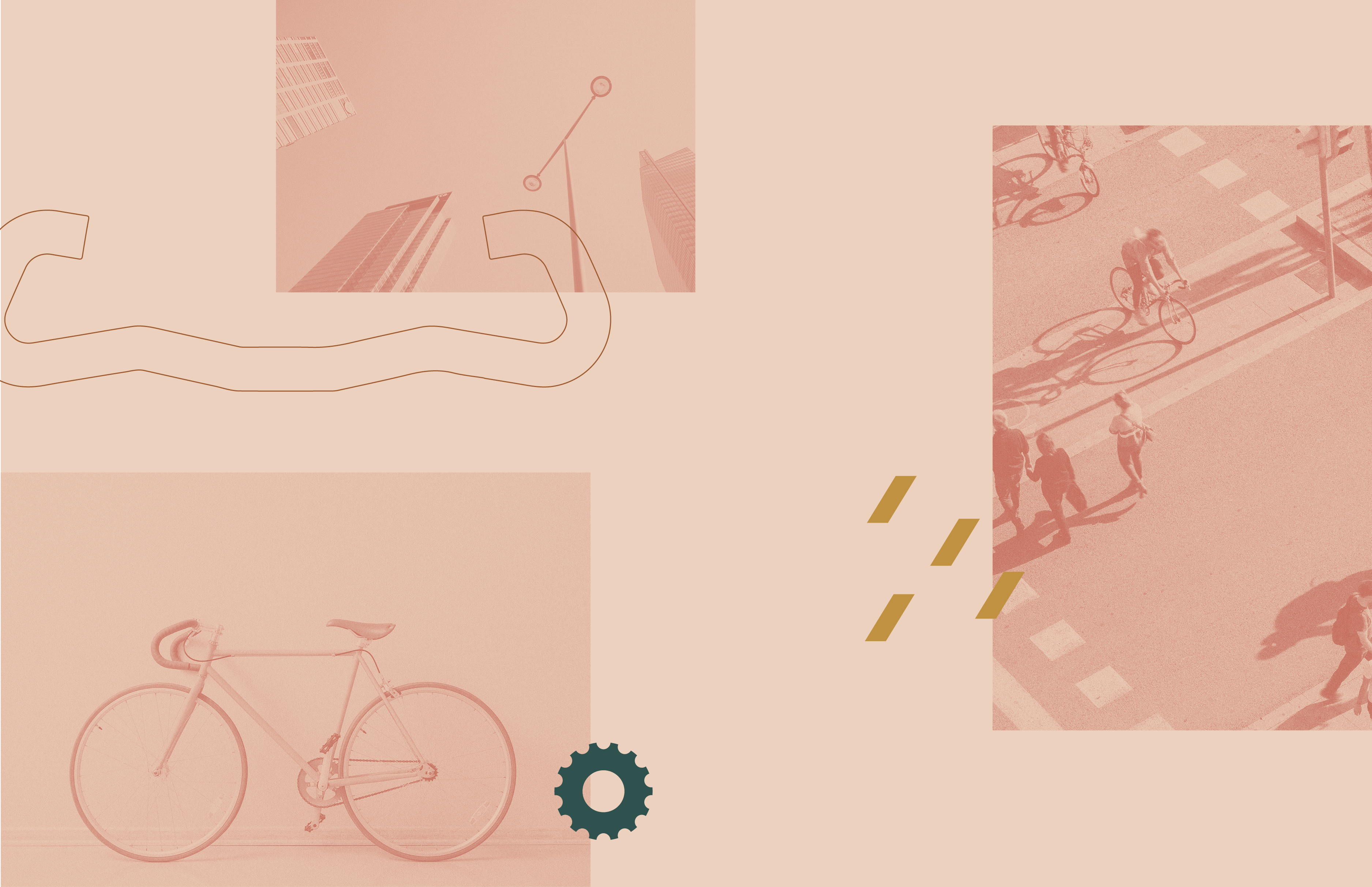 adobe_portfolio_select8
