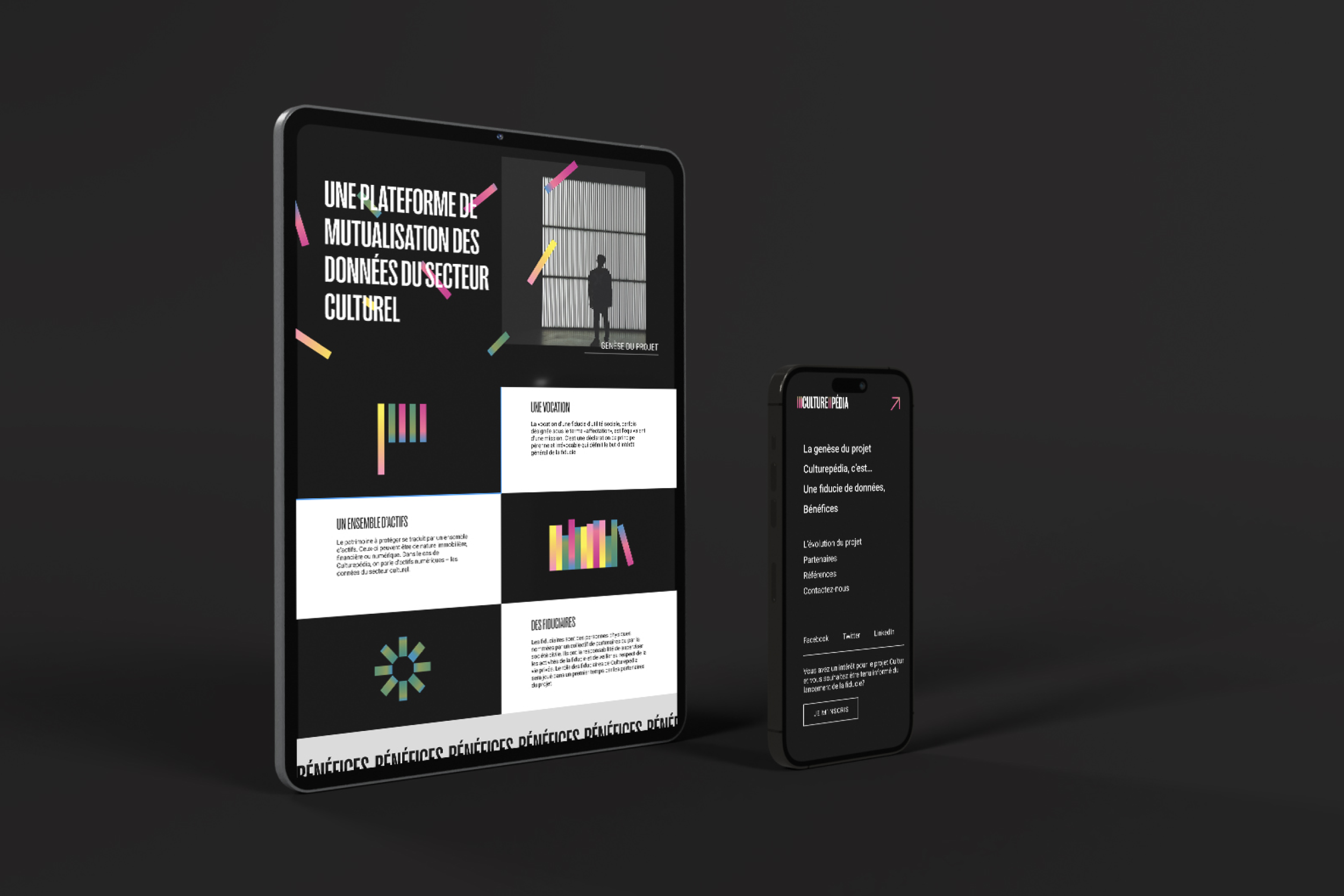 culturepedia_portfolio_selection34